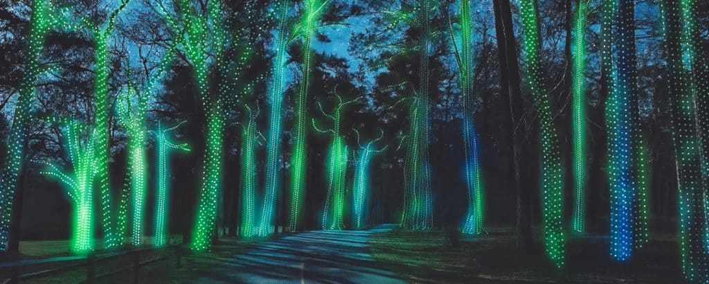 Fantasy in Lights at Callaway Resort & Gardens (Pine Mountain, GA)