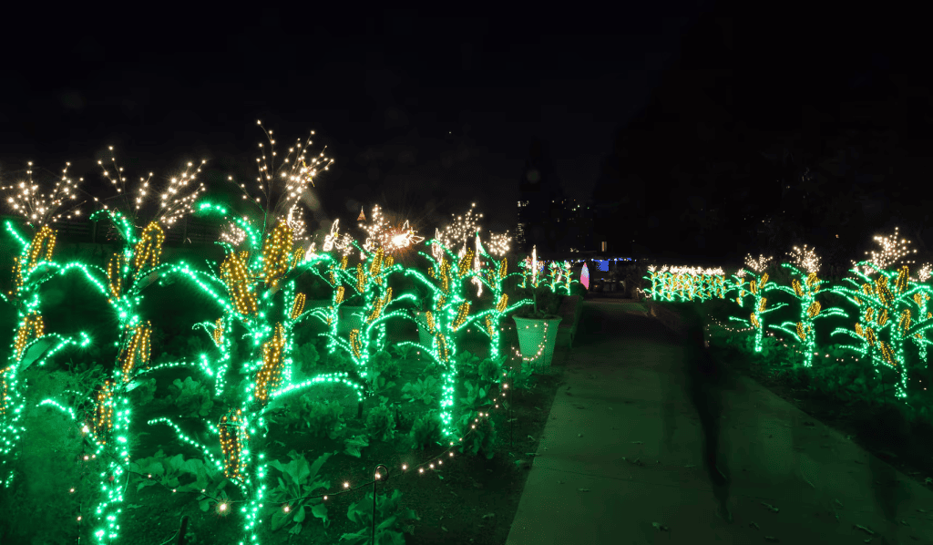 Atlanta Botanical Gardens Garden Lights display, one of the best holiday date nights for couples